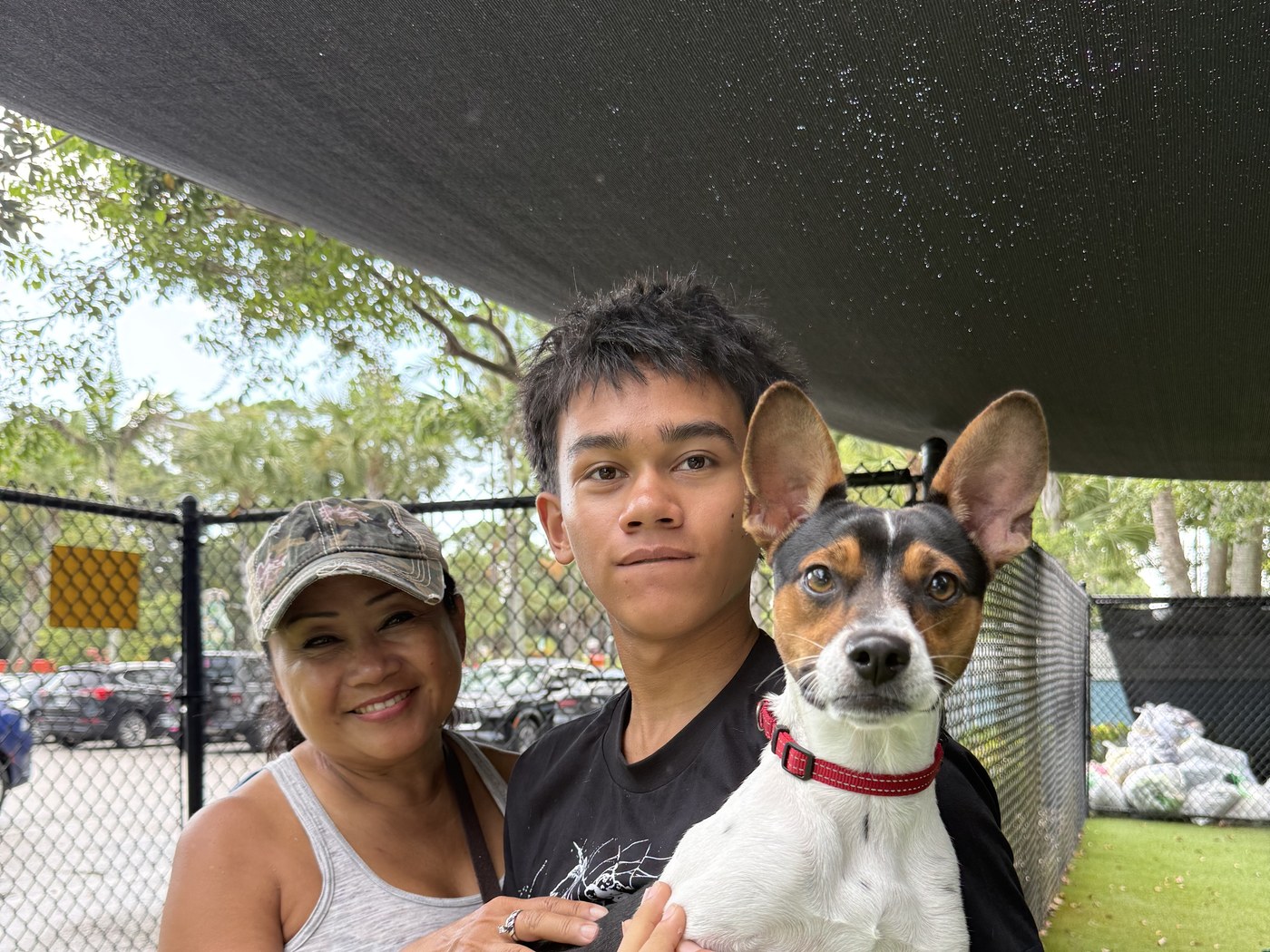 A service companion representing the Paws of Valor Adopt-a-Pet Program.